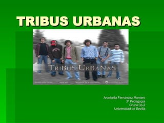TRIBUS URBANAS Anarbella Fernández Montero 3º Pedagogía Grupo:3p-2 Universidad de Sevilla 