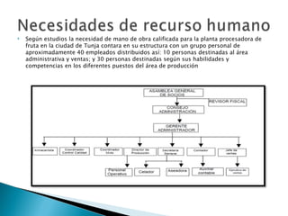    Según estudios la necesidad de mano de obra calificada para la planta procesadora de
    fruta en la ciudad de Tunja contara en su estructura con un grupo personal de
    aproximadamente 40 empleados distribuidos así: 10 personas destinadas al área
    administrativa y ventas; y 30 personas destinadas según sus habilidades y
    competencias en los diferentes puestos del área de producción
 