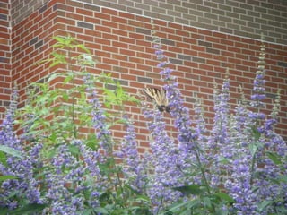 Daniela Hernando 2012
 