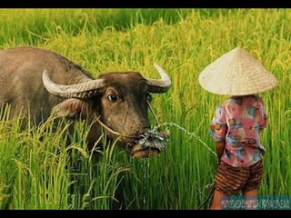 Después de ver esto, nada más me impresiona. 