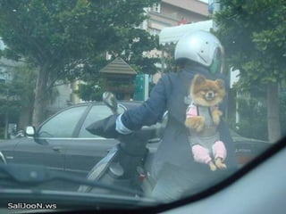 Después de ver esto, nada más me impresiona. 