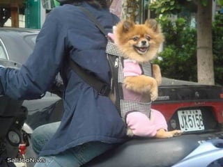 Después de ver esto, nada más me impresiona. 