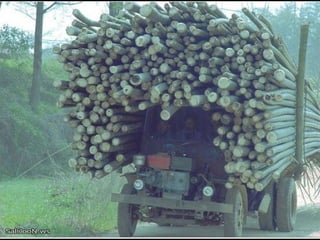 Después de ver esto, nada más me impresiona. 