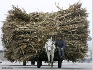 Después de ver esto, nada más me impresiona. 