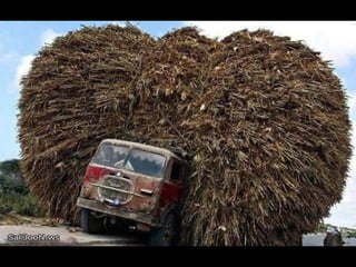 Después de ver esto, nada más me impresiona. 