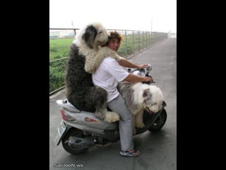 Después de ver esto, nada más me impresiona. 