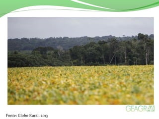 Fonte: Globo Rural, 2013
 