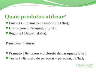 Quais produtos utilizar?
Finale ( Glufosinato de amônio, 2 L/há);
Gramoxone ( Paraquat, 2 L/há);
Reglone ( Diquat, 2L/há);
Principais misturas:
Pramato ( Bentazon + dicloreto de paraquat,2 l/ha );
Tocha ( Dicloreto de paraquat + paraquat, 2L/ha);
 