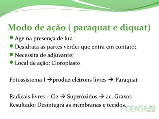 Modo de ação ( paraquat e diquat)
Age na presença de luz;
Desidrata as partes verdes que entra em contato;
Necessita de adjuvante;
Local de ação: Cloroplasto
Fotossistema I produz elétrons livres  Paraquat
Radicais livres + O2  Superóxidos  ac. Graxos
Resultado: Desintegra as membranas e tecidos.
 