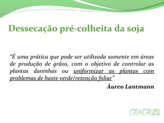 Dessecação pré-colheita da soja
“É uma prática que pode ser utilizada somente em áreas
de produção de grãos, com o objetivo de controlar as
plantas daninhas ou uniformizar as plantas com
problemas de haste verde/retenção foliar”
Áureo Lantmann
 