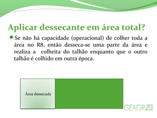 Aplicar dessecante em área total?
Se não há capacidade (operacional) de colher toda a
área no R8, então desseca-se uma parte da área e
realiza a colheita do talhão enquanto que o outro
talhão é colhido em outra época.
Área dessecada
 