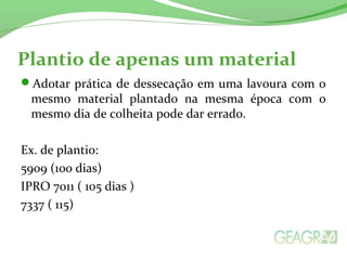 Plantio de apenas um material
Adotar prática de dessecação em uma lavoura com o
mesmo material plantado na mesma época com o
mesmo dia de colheita pode dar errado.
Ex. de plantio:
5909 (100 dias)
IPRO 7011 ( 105 dias )
7337 ( 115)
 