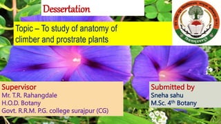 Dessertation
Topic – To study of anatomy of
climber and prostrate plants
Supervisor
Mr. T.R. Rahangdale
H.O.D. Botany
Govt. R.R.M. P.G. college surajpur (CG)
Submitted by
Sneha sahu
M.Sc. 4th Botany
 