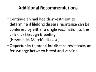 Improving village chicken production to elevate the livelihoods of poor people in Ethiopia