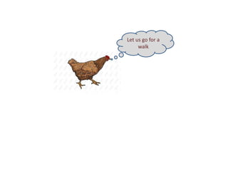 Improving village chicken production to elevate the livelihoods of poor people in Ethiopia