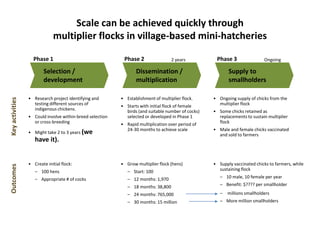 Improving village chicken production to elevate the livelihoods of poor people in Ethiopia