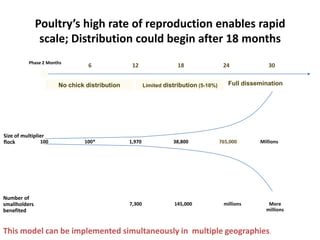 Improving village chicken production to elevate the livelihoods of poor people in Ethiopia