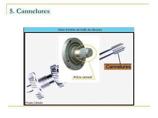 5. Cannelures
 