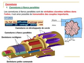 Cannelures
1. Cannelures à flancs parallèles
Les cannelures à flancs parallèles sont de véritables clavettes taillées dans
l’arbre, il est ainsi possible de transmettre des couples importants.
 