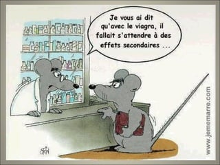 Dessins 109   divers 4 de ms4