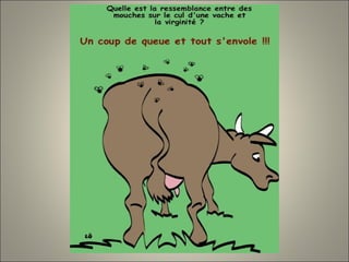 Dessins 109   divers 4 de ms4