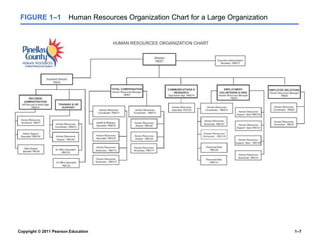 Copyright © 2011 Pearson Education 1–7
FIGURE 1–1 Human Resources Organization Chart for a Large Organization
 