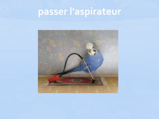 passer l'aspirateur
 