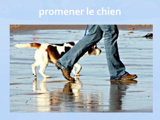 promener le chien
 