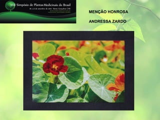 MENÇÃO HONROSA

ANDRESSA ZARDO
 