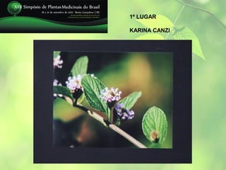 1º LUGAR

KARINA CANZI
 