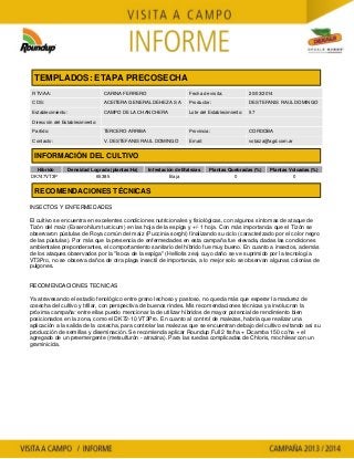 Agrotestigo-Maiz DEKALB-Campaña 1314-Informe Precosecha-DESTEFANIS RAUL DOMINGO-Nº 28