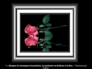 “ ...Aunque le arranques los pétalos, no quitarás su belleza a la flor...”  Rabindranath Tagore   