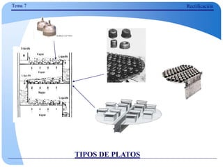 TIPOS DE PLATOS
Tema 7 Rectificación
 