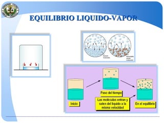 EQUILIBRIO LIQUIDO-VAPOR
 