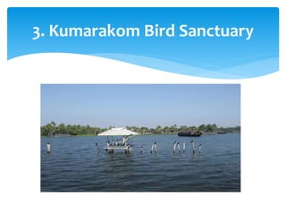 3. Kumarakom Bird Sanctuary
 