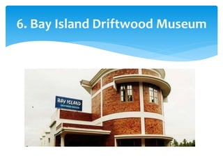 6. Bay Island Driftwood Museum
 