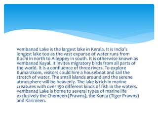 Vembanad Lake is the largest lake in Kerala. It is India’s
longest lake too as the vast expanse of water runs from
Kochi in north to Alleppey in south. It is otherwise known as
Vembanad Kayal. It invites migratory birds from all parts of
the world. It is a confluence of three rivers. To explore
Kumarakom, visitors could hire a houseboat and sail the
stretch of water. The small islands around and the serene
atmosphere will be heavenly. The lake is rich in marine
creatures with over 150 different kinds of fish in the waters.
Vembanad Lake is home to several types of marine life
exclusively the Chemeen (Prawns), the Konju (Tiger Prawns)
and Karimeen.
 