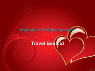 Destination Wedding Specialist Travel Bee Ltd 
