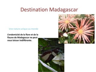 Destination Madagascar
Une nature unique au monde
L’endemicité de la flore et de la
flaune de Madagascar ne peut
nous laisser indifférente.
 