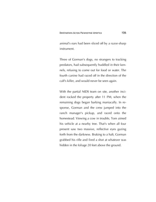 Destinations Across Paranormal America 106
animal’s ears had been sliced off by a razor-sharp
instrument.
Three of Gorman's dogs, no strangers to tracking
predators, had subsequently huddled in their ken-
nels, refusing to come out for food or water. The
fourth canine had raced off in the direction of the
calf's killer, and would never be seen again.
With the partial NIDS team on site, another inci-
dent rocked the property after 11 PM, when the
remaining dogs began barking maniacally. In re-
sponse, Gorman and the crew jumped into the
ranch manager's pickup, and raced onto the
homestead. Viewing a cow in trouble, Tom aimed
his vehicle at a nearby tree. That's when all four
present saw two massive, reﬂective eyes gazing
forth from the darkness. Braking to a halt, Gorman
grabbed his riﬂe and ﬁred a shot at whatever was
hidden in the foliage 20 feet above the ground.
 