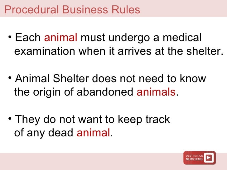 Destination Success Animal Shelter