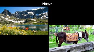 Natur
 