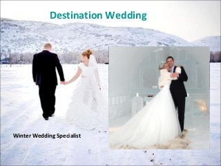 Destination Wedding
Winter Wedding Specialist
 