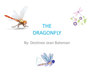 THE
    DRAGONFLY
By: Destinee Jean Bateman
 