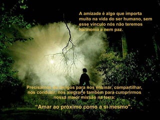 Precisamos de amigos para nos ensinar, compartilhar, nos conduzir, nos alegrar e também para cumprirmos nossa maior missão na terra:   “Amar ao próximo como a si mesmo".   A amizade é algo que importa muito na vida do ser humano, sem esse vínculo nós não teremos harmonia e nem paz. 