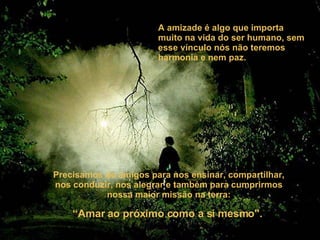 Precisamos de amigos para nos ensinar, compartilhar, nos conduzir, nos alegrar e também para cumprirmos nossa maior missão na terra:   “Amar ao próximo como a si mesmo".   A amizade é algo que importa muito na vida do ser humano, sem esse vínculo nós não teremos harmonia e nem paz. 