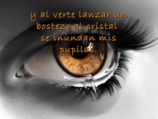 y al verte lanzar un
 bostezo al cristal
  se inundan mis
      pupilas.
 