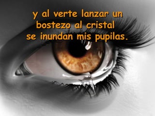 y al verte lanzar un bostezo al cristal  se inundan mis pupilas. 
