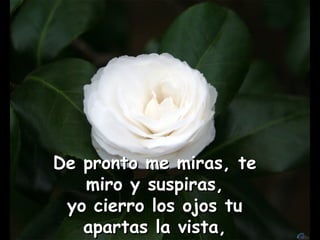 De pronto me miras, te miro y suspiras, yo cierro los ojos tu apartas la vista, 