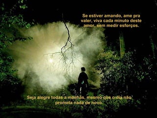 Se estiver amando, ame pra valer, viva cada minuto deste amor, sem medir esforços. Seja alegre todas a manhãs, mesmo que o dia não prometa nada de novo. 